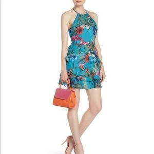 Parker Frill Halter Tropical Blue Floral Dress XS